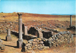 [-5%] ESPAGNE - Soria - Ruines Des Numance - Carte Postale - Soria
