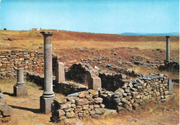 ESPAGNE - Soria - Ruines Des Numance - Carte Postale - Soria