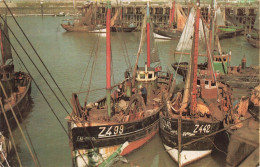 TRANSPORTS - Des Bateaux De Pêche - Colorisé - Carte Postale - Visvangst