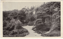 Holten. Niemendal - (Overijssel, Nederland/Holland) - 1953 - Holten