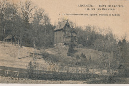 AMOUGIES MONT DE L'ENCLUS   CHALET DES BRUYERES        2 SCANS - Kluisbergen