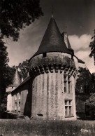 CPSM - DAMPIERRE S/BOUTONNE - La Tour Du Château Construit Par Jeanne De Véronne - Edition Combier - Dampierre-sur-Boutonne