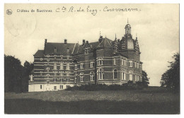 Belgique -    Chateau  De   Buvrinnes -  Comte  R  De Looz - - Binche