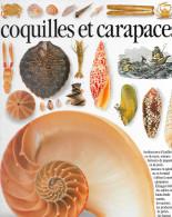 Coquilles Et Carapaces éditions :les Yeux De La Découverte Gallimard 1974 - Archéologie