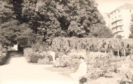 FRANCE - Rennes - Au Jardin Des Plantes - Carte Postale Ancienne - Rennes