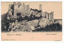 ONHAYE - Les Ruines De Montaigle.  Vallée De La Molignée. - Onhaye