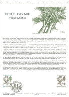 FRANCE : 1985 - SPECIAL OFFICIAL  CARD SHEET PHILATELIC DOCUMENT OF FAGUS SYLVATICA  EUROPEAN TREE. - Altri & Non Classificati