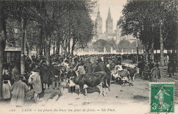 Caen * La Place Du Parc Un Jour De Foire * Marché Aux Bestiaux Boeufs - Caen