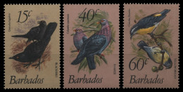 Barbados 1982 - Mi-Nr. 551-553 ** - MNH - Vögel / Birds - Barbados (1966-...)