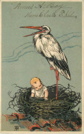 ENFANT ET CIGOGNE - Faire Part De Naissance, Carte Gaufrée Illustrée. - Birth