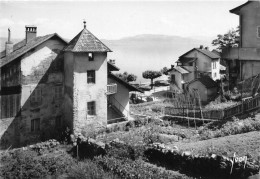 Meillerie * Les Vieilles Maisons En Bordure Du Lac Léman - Sonstige & Ohne Zuordnung