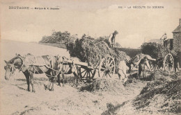 Bretagne * La Récole Du Goemon * Goëmoniers * Attelage Chevaux * Pêche * éditeur B.K. - Sonstige & Ohne Zuordnung