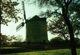 G7698 - Syrau Windmühle - Bild Und Heimat Reichenbach - Windmills