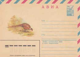 ANIMALS, BIRDS, COMMON PHEASANT, COVER STATIONERY, ENTIER POSTAL, 1980, RUSSIA - Gallinacées & Faisans