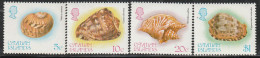 CAYMAN ISLANDS - N°509/12 ** (1983) Coquillages - Kaimaninseln