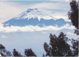Ecuador Postcard Sent To Germany With Red Meter Cancel 5-3-1999 (The Cotopaxi 5897 Mts.) - Ecuador