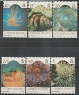 CAYMAN ISLANDS - N°656/661 ** (1990) Faune Marine - Kaaiman Eilanden