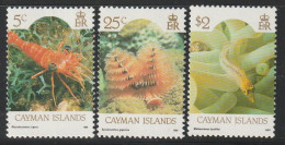 CAYMAN ISLANDS - N°668A/669 ** (1990) Faune Marine - Cayman Islands