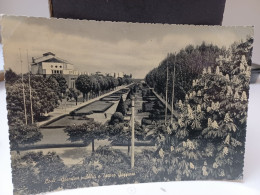 Cartolina Lodi Giardini Pubblici E Teatro Gaffurio Anni 60 - Lodi