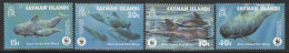 CAYMAN ISLANDS - N°957/60 ** (2003) Faune Marine : Cétacés - WWF. - Cayman Islands