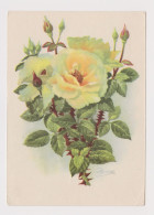 Soviet Union USSR Russia UdSSR URSS 1958 Postal Stationery Card PSC, Entier, Flower-Rose By I. Romanov Pc (50323) - 1950-59