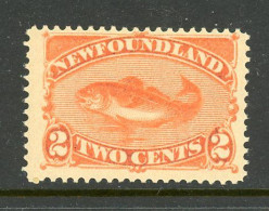 Newfoundland MH 1880 - 1865-1902