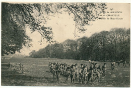 SCOUTISME - Bois De MEUDON Et De CHAVILLE, Défilés De Boy Scouts - Scoutisme