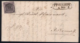 Einzelfrankatur Baden 9 Kreuzer Rosa - Nr. 4b Auf Brief 1863 Aus Pforzheim Nach Neuenbürg - Storia Postale