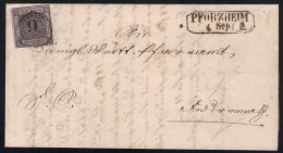 Einzelfrankatur Baden 9 Kreuzer Rosa - Nr. 4b Auf Brief 1863 Aus Pforzheim Nach Neuenbürg - Lettres & Documents