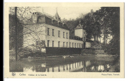 Belgique - Celles  -    Chateau De La Cazerie - -  Mr  Alf  Dejormanoir De La Cazerie Et Mmei - Celles