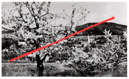 REPRO Foto Bransdorf Brantice A Jägerndorf Krnov Freudenthal Bruntal Würbenthal Vrbno Kronsdorf Seifersdorf Groß Raden - Sudeten