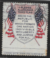 1920 WWI ERA VIGNETTE USA CINDERELLA  I PLEDGE TO MY FLAG AND TO THE REPUBLIC FOR SHICH IT STANDS LIBERTY AND JUSTICE  - Erinnofilia