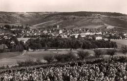 Saint Bris Le Vineux - Vue Générale Du Village - Saint Bris Le Vineux