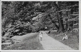 Zeist Walkantpark Middenpad Bij Den Vijver Gelopen 29-7-1941 - Zeist