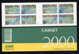 LUXEMBURG, 2000, Booklet 13, Carnet 2000 - Collections