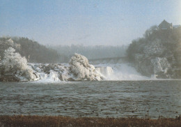 CPM . RHEINFALL IN EIS UND SCHNEE VON RESTAURANT - PARK  + PLAN D'ACCES DU RESTAURANT AU VERSO - Neuhausen Am Rheinfall