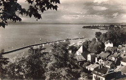 FRANCE - Thonon Les Bains - Vue Générale Et La Pointe De Ripaille - Carte Postale - Thonon-les-Bains