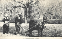 10  --  LABOUR à  ANE Dans La Double - Centre-Val De Loire