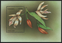 Ghana 1998 - Mi-Nr. Block 353 ** - MNH - Orchideen / Orchids - Ghana (1957-...)