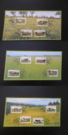 Carte FDC Card (x3) Vaches French Cows France 2014 - Koeien
