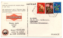 Tarjeta De Macao De 1953 - Lettres & Documents