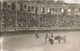 Corrida * Carte Photo * Tauromochie Toréador * à Situer ! - Corridas