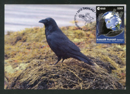 GREENLAND (2023) Carte Maximum Card - ESA Astronaut Andreas Mogensen To ISS, Corvus Corax, Grand Corbeau, Common Raven - Maximumkarten (MC)