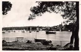 FRANCE - Benodet - Le Port - Les Bateaux - JOB - Carte Postale - Bénodet