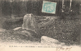 FRANCE - Bois De Meudon - Menhirs Anciens Dits Pierre Aux Moines - Carte Postale Ancienne - Meudon