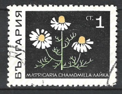 BULGARIE. N°1647 Oblitéré De 1968. Camomille. - Geneeskrachtige Planten