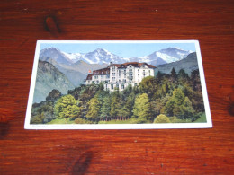 66608- SCHWEIZ, SUISSE, BERN, WILDERSWIL, HOTEL SCHÒNBÙHL - Wilderswil