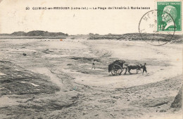 Quimiac En Mesquer * La Plage De L'anséria à Marée Basse * Ramassage Du Goémon * Attelage - Mesquer Quimiac