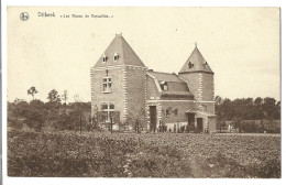 Belgique -   Dilbeek  -  Les Roses De Versailles - Dilbeek