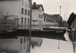 Macon - Inondations 1981 - Rue De La République - Overstromingen